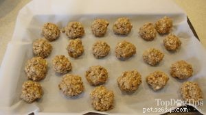Homemade Dog Food for Pregnant Dogs: Safe, Nutritious Snack Recipes