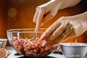 Homemade Dog Food for Healthy Weight Gain: The Satin Ball Recipe