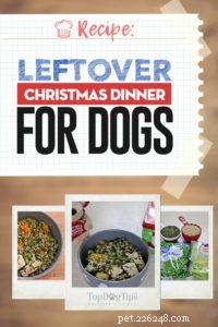 Dog-Friendly Christmas Leftovers: Nutritious Meal for Your Pup
