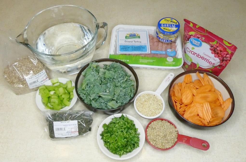 Homemade Dog Food Recipe for Joint & Hip Wellness