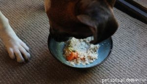 Homemade Dog Food Recipe for Heart Disease: Nutritious & Gentle on the Heart