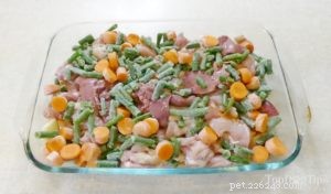 Homemade Dog Food Recipe for Digestive Health: Gentle, Nutritious & Vet-Recommended