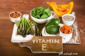 7 Must‑Have Supplements for a Balanced Homemade Dog Diet