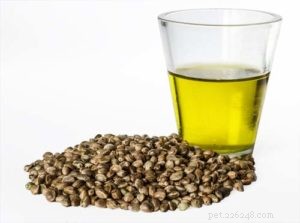 7 Must‑Have Supplements for a Balanced Homemade Dog Diet