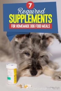7 Must‑Have Supplements for a Balanced Homemade Dog Diet
