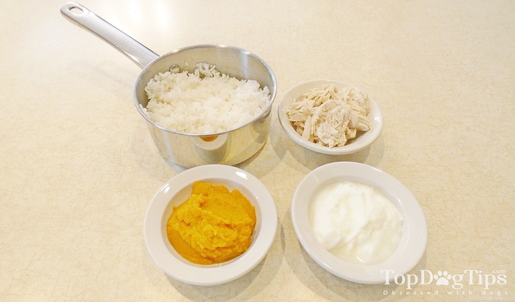 Homemade Dog Food Recipe for an Upset Stomach