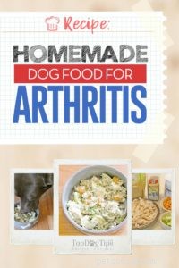 Homemade Dog Food for Arthritis: Proven Recipes & Expert Guidance