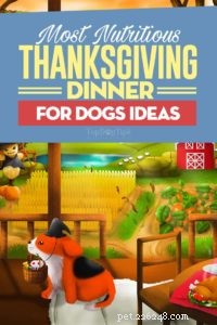 8 Safe Thanksgiving Dinner Ideas for Dogs Using Leftovers