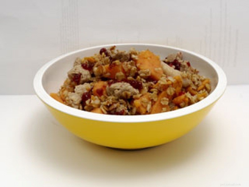 25 Safe & Tasty Homemade Thanksgiving Dinner Recipes for Your Dog
