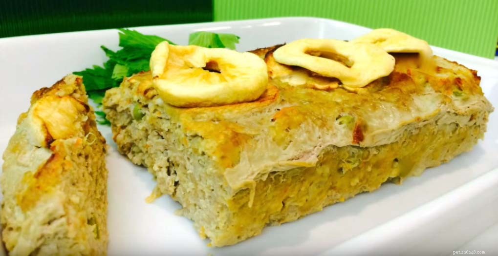 25 Safe & Tasty Homemade Thanksgiving Dinner Recipes for Your Dog