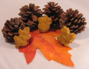 25 Safe & Tasty Homemade Thanksgiving Dinner Recipes for Your Dog