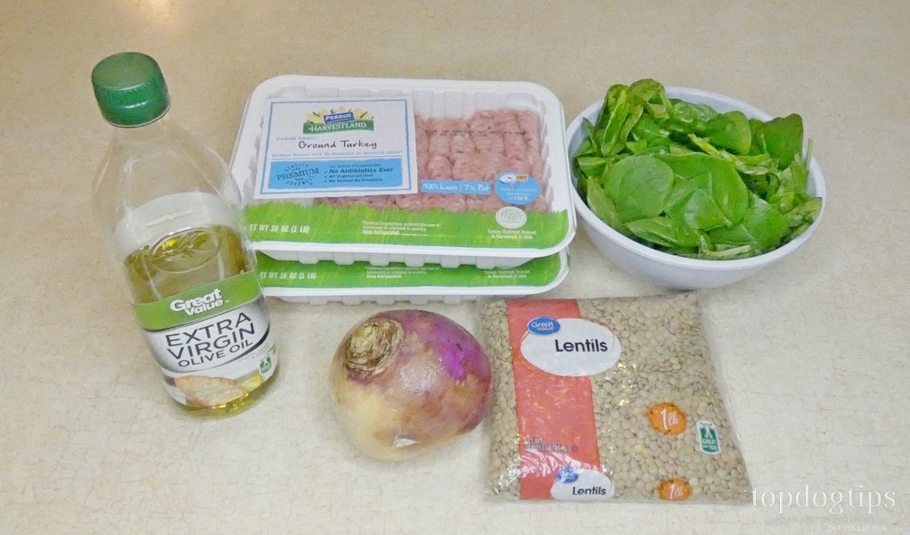 Turkey Stir‑Fry Dog Food: A Gentle Diet for Allergy‑Suffering Pets