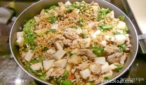 Turkey Stir‑Fry Dog Food: A Gentle Diet for Allergy‑Suffering Pets