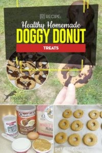 Healthy Homemade Doggie Donut Treats: A Nutritious & Easy Recipe