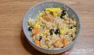 Homemade Dog Food for Post-Surgery Recovery: Nutrient-Rich Meals to Speed Healing