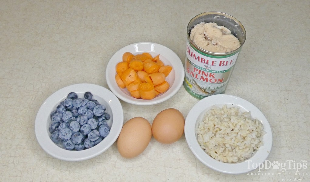 Homemade Dog Food for Post-Surgery Recovery: Nutrient-Rich Meals to Speed Healing