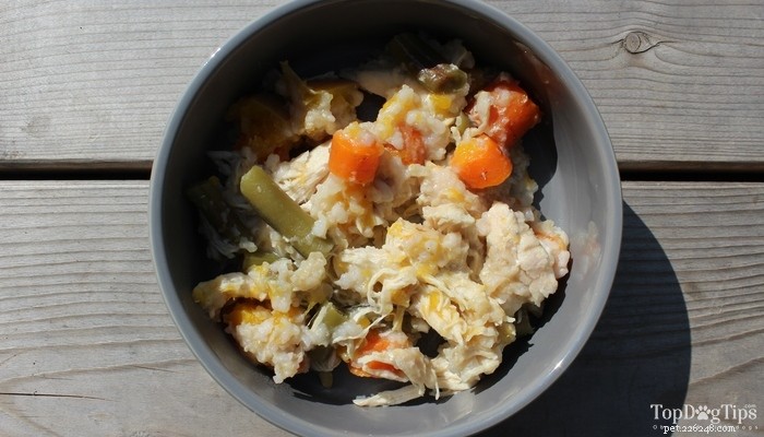 15 Must‑Try Homemade Dog Food Recipes for Healthy, Happy Pups