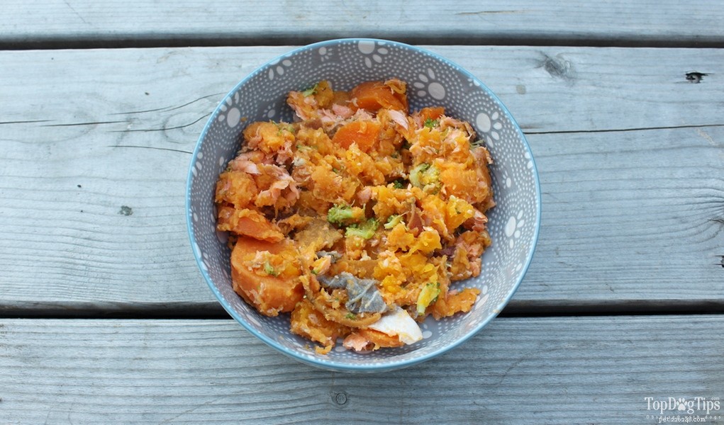 15 Must‑Try Homemade Dog Food Recipes for Healthy, Happy Pups