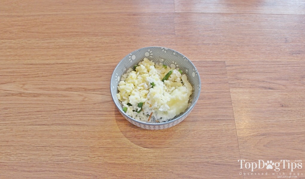 15 Must‑Try Homemade Dog Food Recipes for Healthy, Happy Pups