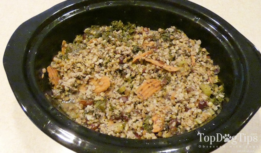 15 Must‑Try Homemade Dog Food Recipes for Healthy, Happy Pups