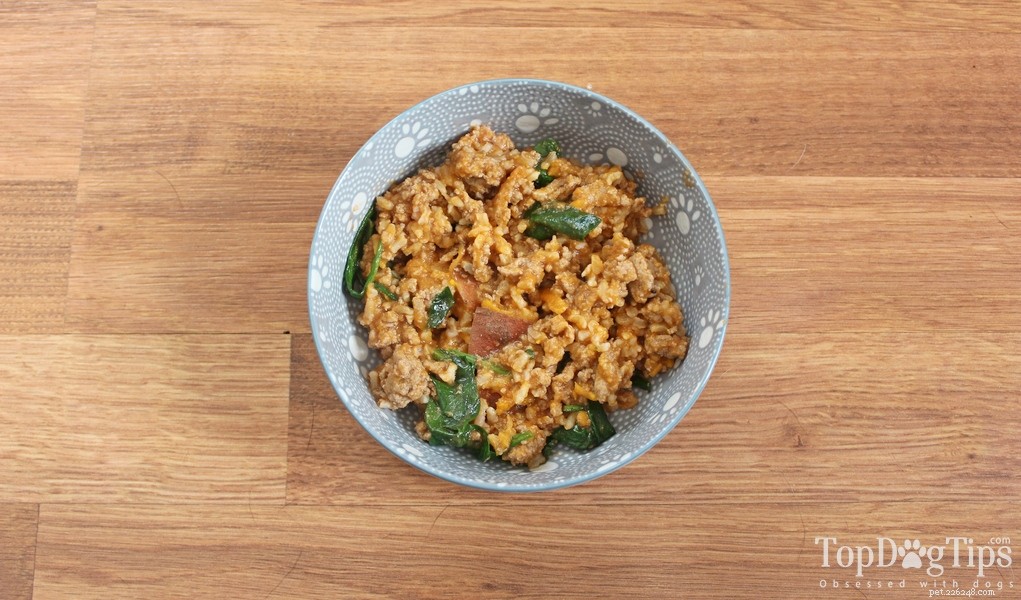 15 Must‑Try Homemade Dog Food Recipes for Healthy, Happy Pups