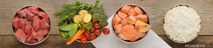 Expert Homemade Dog Food Calculator for Healthy Pups