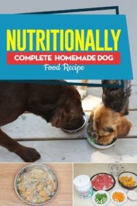 Complete Homemade Dog Food Recipe: Tailored Nutrition for Your Canine