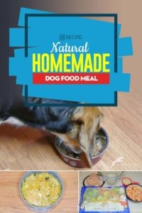 Premium Homemade Dog Food Recipe: Natural, Nutritious & Easy to Make