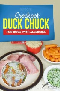Allergy-Friendly Crockpot Duck Chuck Dog Food Recipe