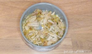 Delicious Fruity Pork Dinner for Dogs – Healthy & Easy Homemade Recipe