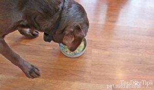 Delicious Fruity Pork Dinner for Dogs – Healthy & Easy Homemade Recipe