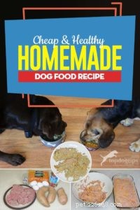 Budget-Friendly Homemade Dog Food: Healthy, Nutritious Recipes