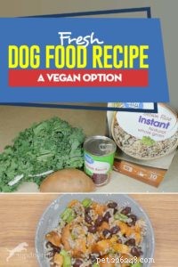 Balanced Vegan Dog Food Recipe for Optimal Health