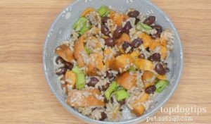 Balanced Vegan Dog Food Recipe for Optimal Health