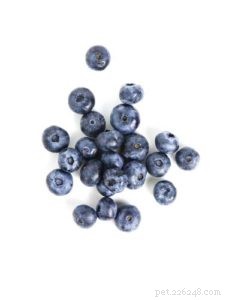Homemade Senior Dog Food Recipe: Nutrient‑Rich Meals for Aging Pups