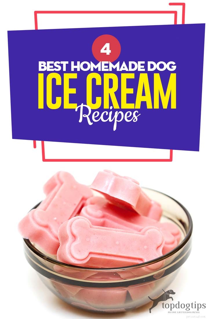 4 Top Homemade Dog Ice Cream Recipes to Keep Your Pup Cool