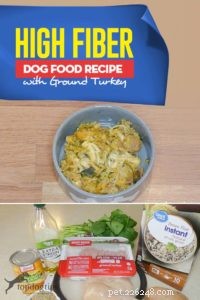 High-Fiber Turkey Dog Food Recipe for Healthy Digestion