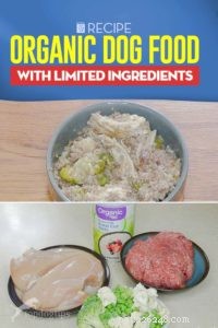 Easy 4‑Ingredient Organic Dog Food Recipe for Healthy, Homemade Meals