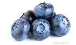 10 Essential Ingredients for Nutritious Homemade Dog Food
