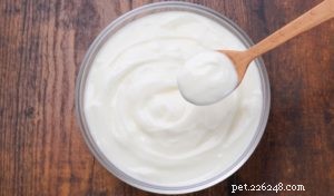 10 Essential Ingredients for Nutritious Homemade Dog Food