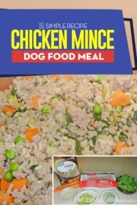 Nutritious Chicken Mince Dog Food – Easy Homemade Meal