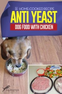 Chicken-Based Anti-Yeast Dog Food Recipe for Healthy Skin