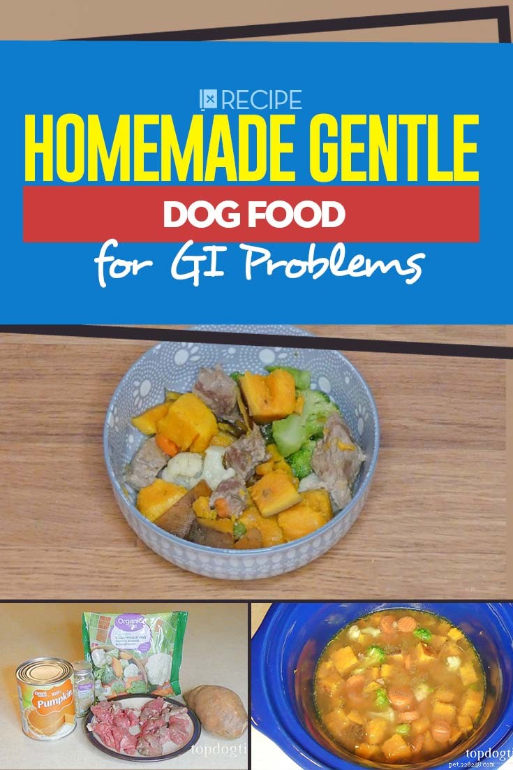 Homemade Gentle Dog Food Recipe – Vet‑Approved Meals for Sensitive Stomachs