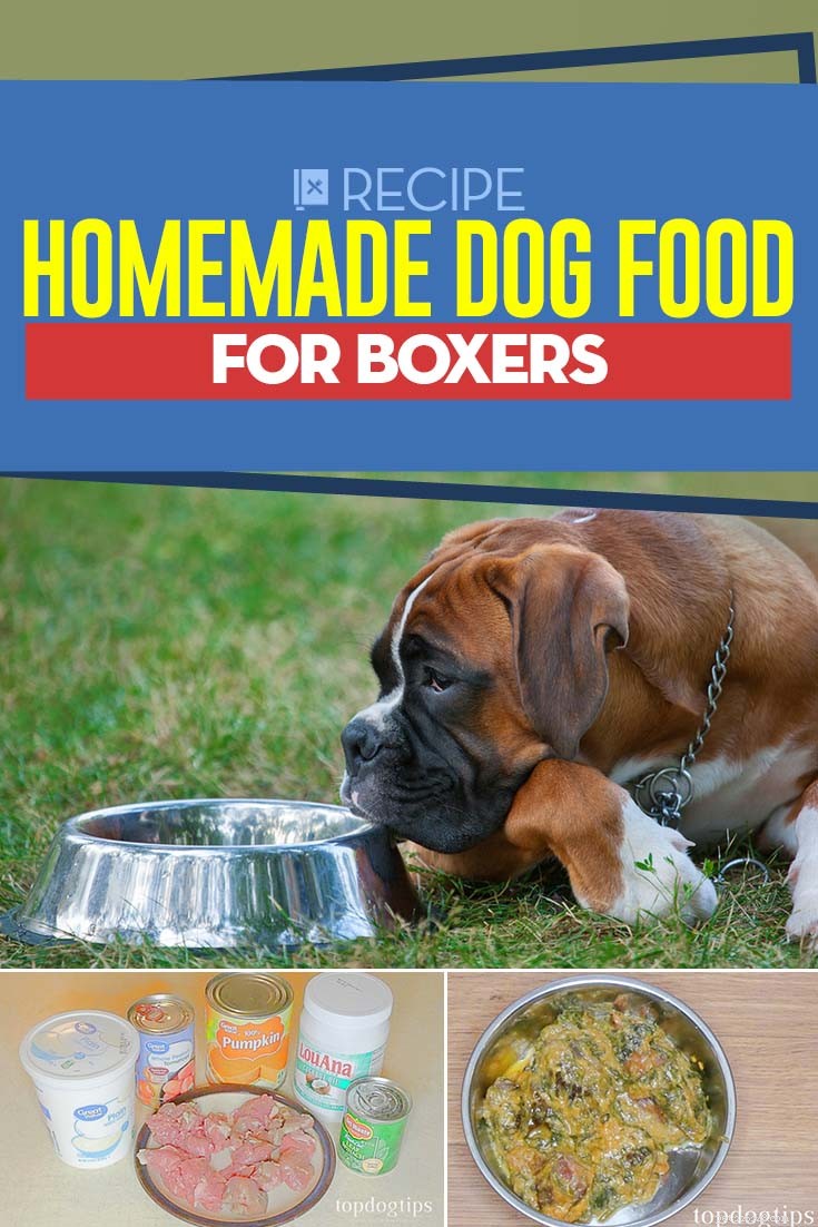 Homemade Dog Food for Boxers: Nutrition Guide & Recipes