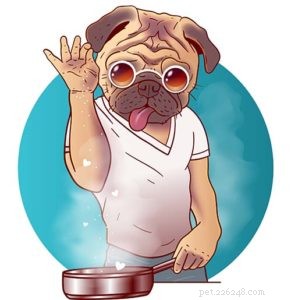 Why Adding Salt to Homemade Dog Food Is Safe and Beneficial