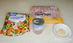 Adding Garlic to Homemade Dog Food: Safe, Healthy Benefits Explained