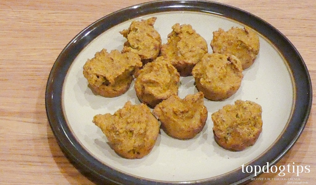 20 Delicious Homemade Christmas Treats for Dogs