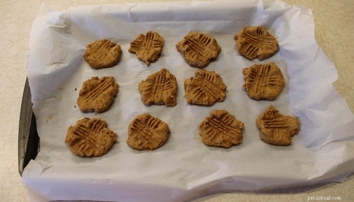 20 Delicious Homemade Christmas Treats for Dogs
