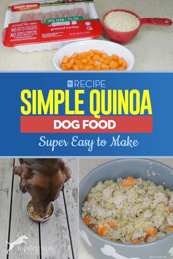 Healthy Homemade Quinoa Dog Food Recipe