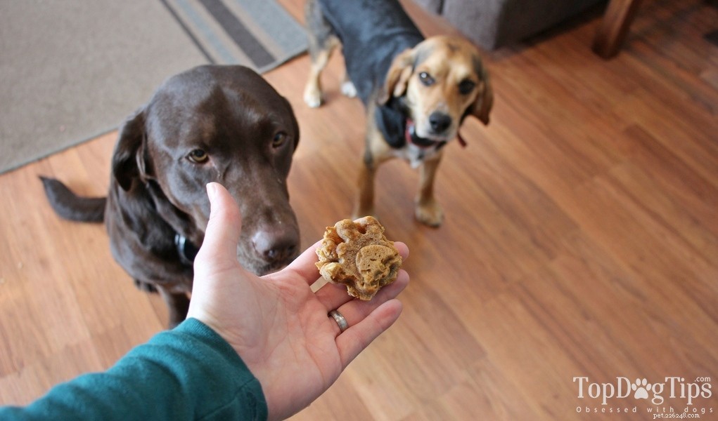 High-Fiber Oat Bran Dog Biscuits for Digestive Health